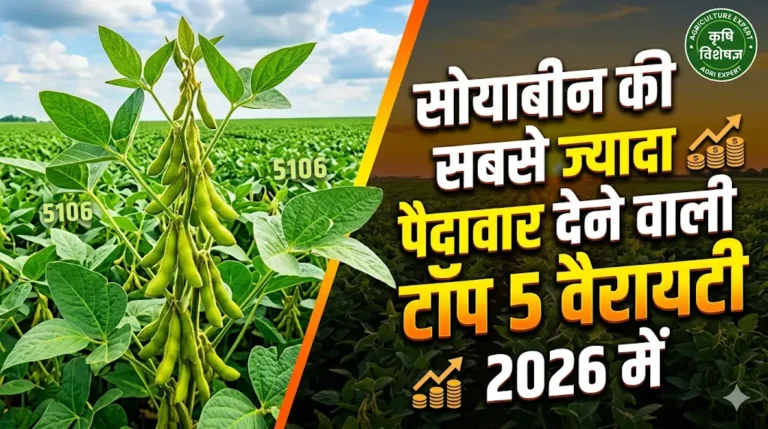 soyabean-ki-kheti-top-varieties-2026-hindi