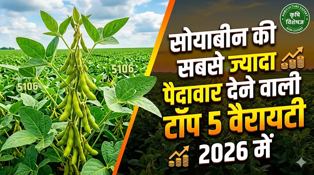 soyabean-ki-kheti-top-varieties-2026-hindi