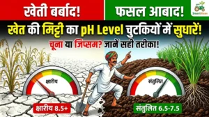 how-to-maintain-soil-ph-level-in-hindi