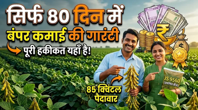 js-9560-soyabean-variety-complete-guide