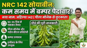 nrc-142-soybean-variety-in-hindi