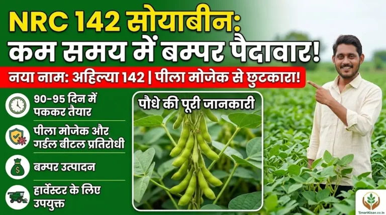 nrc-142-soybean-variety-in-hindi