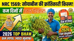 nrc-1569-soybean-variety-features-yield-hindi