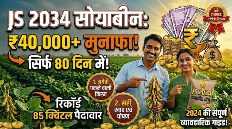 js-2034-soyabean-variety-yield-and-features-guide
