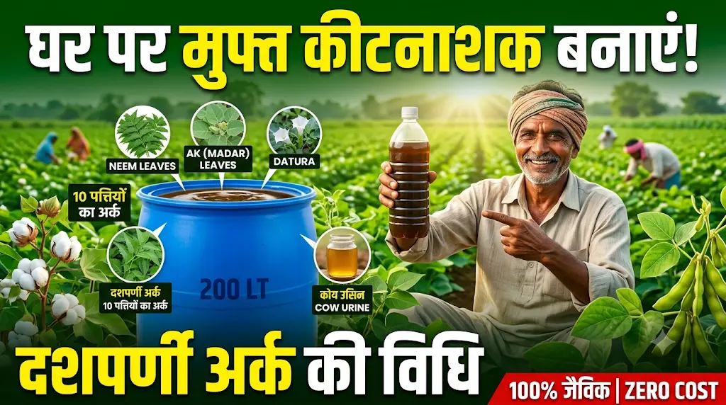 dashparni-ark-kaise-banaye-organic-pesticide-guide