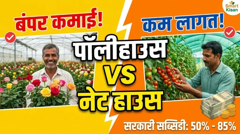 polyhouse-and-net-house-farming-guide-hindi