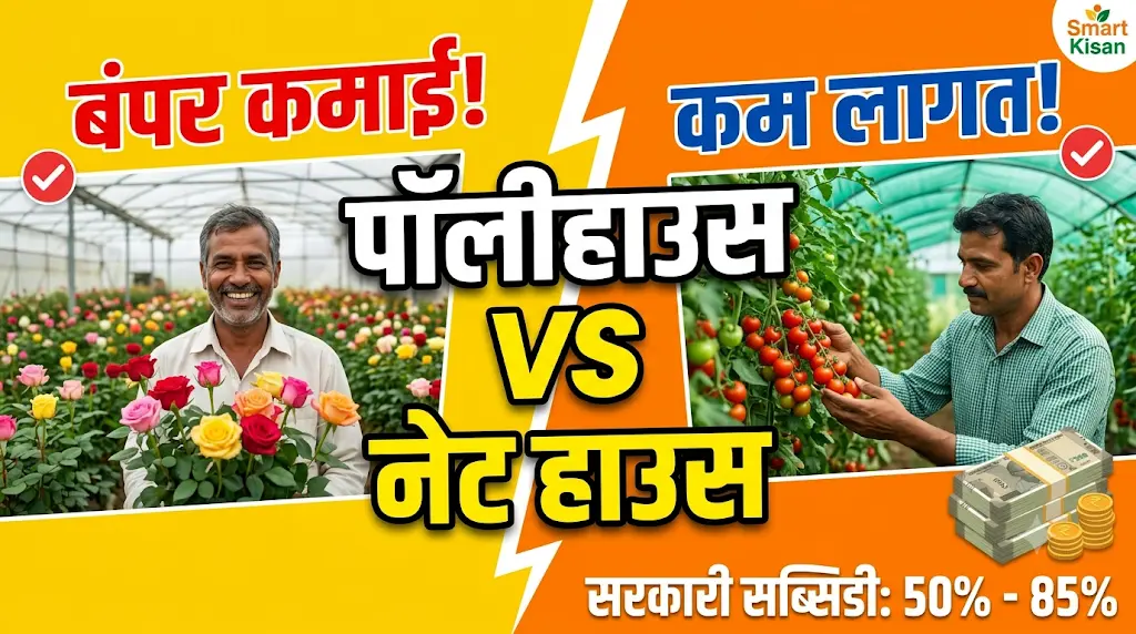 polyhouse-and-net-house-farming-guide-hindi