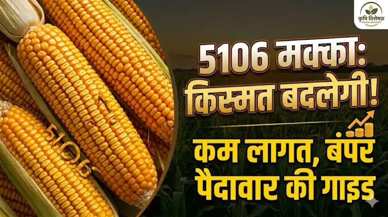5106-makka-seeds-farming-guide-hindi