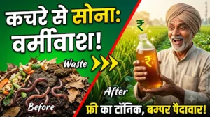 vermiwash-kya-hai-banane-ki-vidhi-aur-fayde