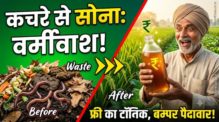 vermiwash-kya-hai-banane-ki-vidhi-aur-fayde
