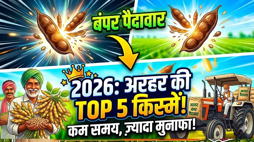 arhar-ki-top-kisme-2026