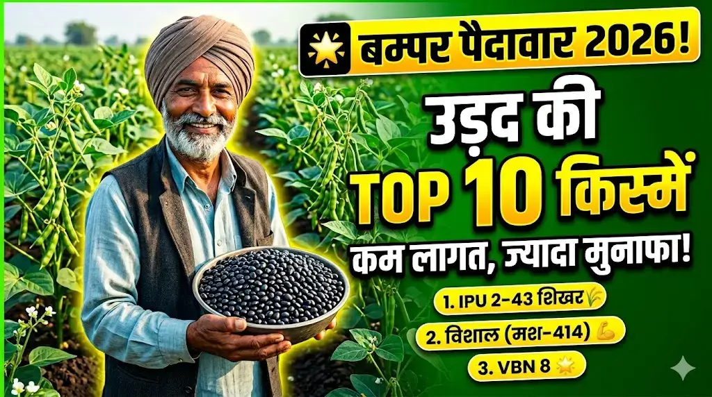 udad-ki-top-10-kisme-2026