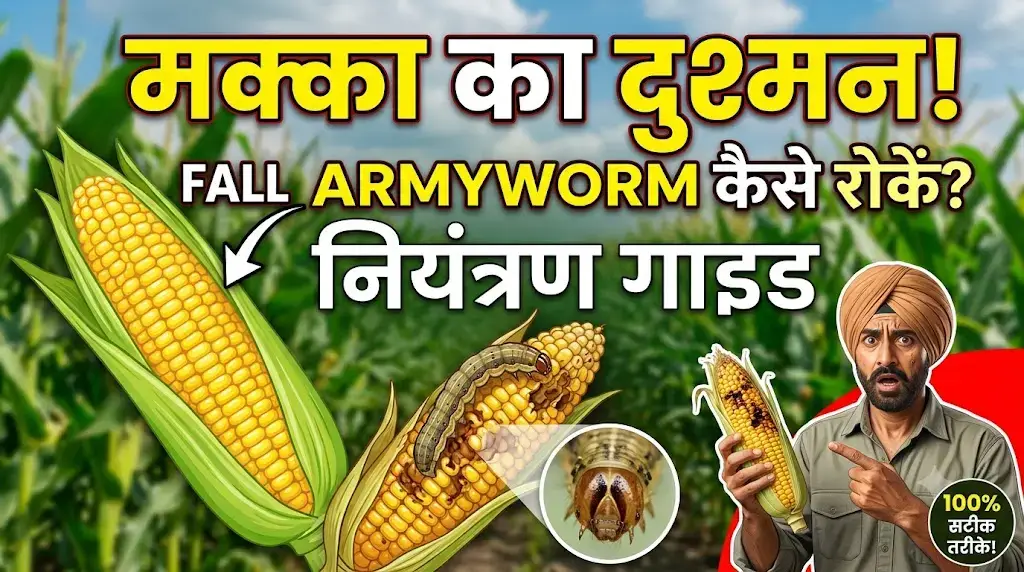 fall-armyworm-control-guide-hindi