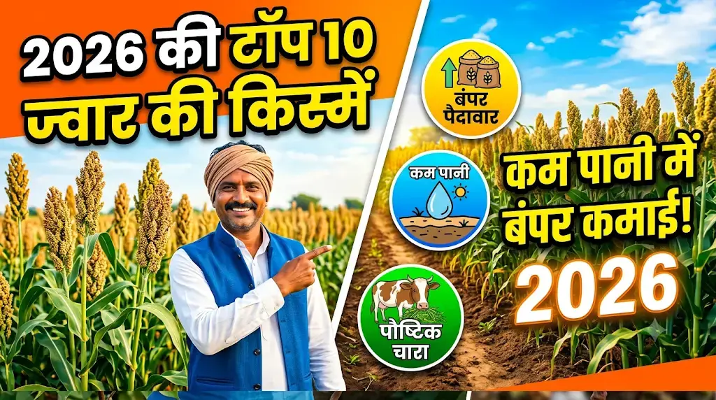 jowar-ki-top-10-kisme-2026