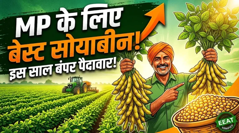 best-soybean-variety-for-madhya-pradesh-highest-yield-seeds