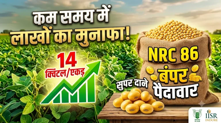 nrc-86-soyabean-variety-yield-features-hindi