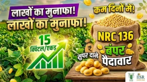 nrc-136-soyabean-variety-features-yield-hindi