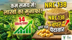 nrc-138-soyabean-variety-features-yield-hindi