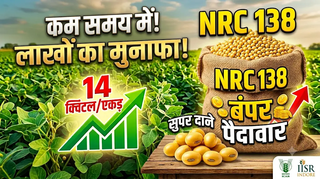 nrc-138-soyabean-variety-features-yield-hindi