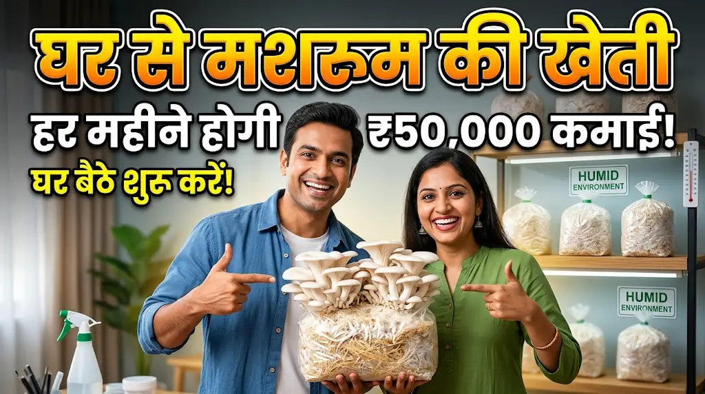 ghar-se-mushroom-ki-kheti-kaise-kare