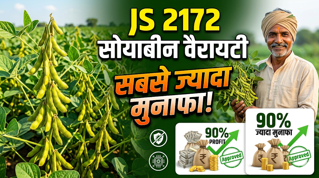 js-2172-soybean-variety-yield-and-features-hindi