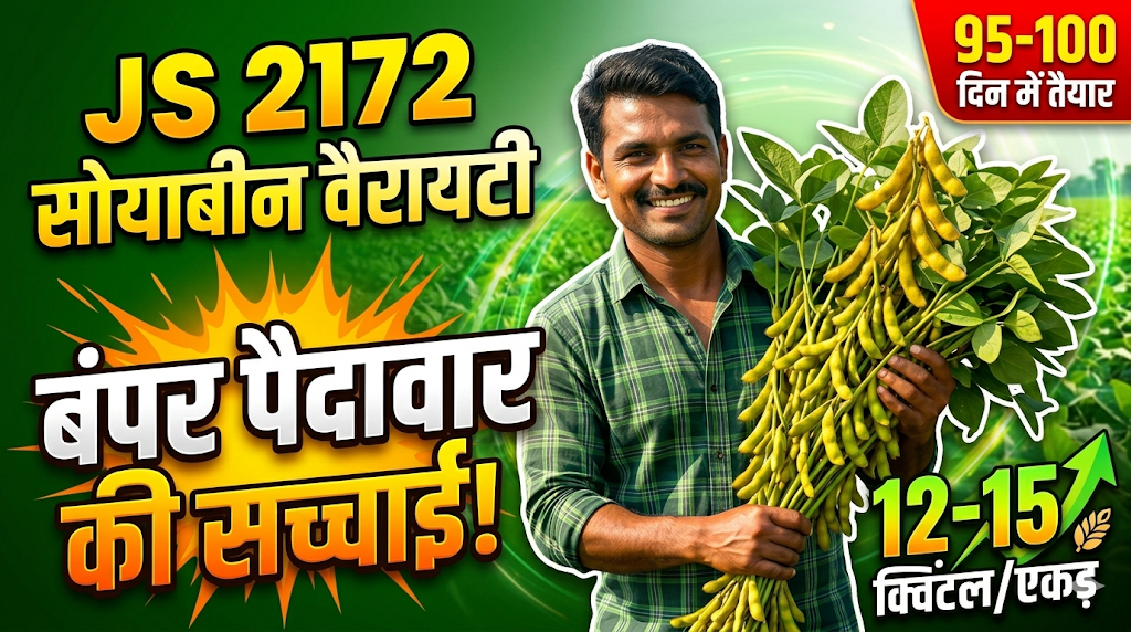 js-2172-soybean-variety-yield-and-features-hindi