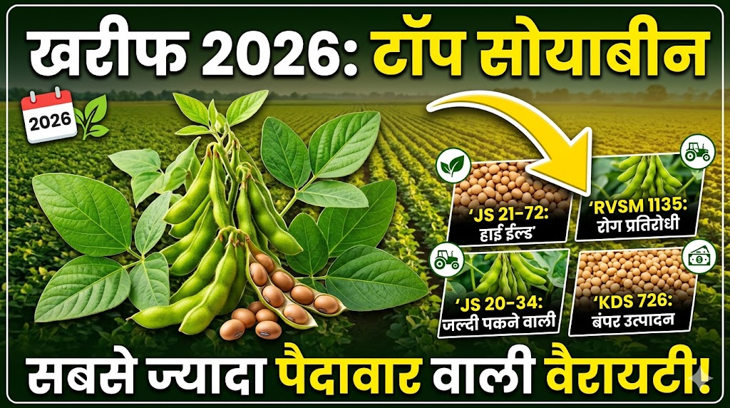 top-soybean-varieties-kharif-2026
