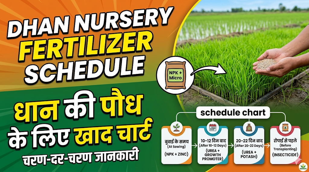 dhan-nursery-fertilizer-schedule-chart-hindi