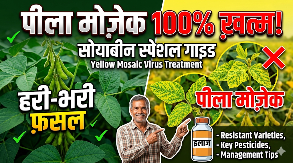 soybean-me-yellow-mosaic-virus-treatment-guide