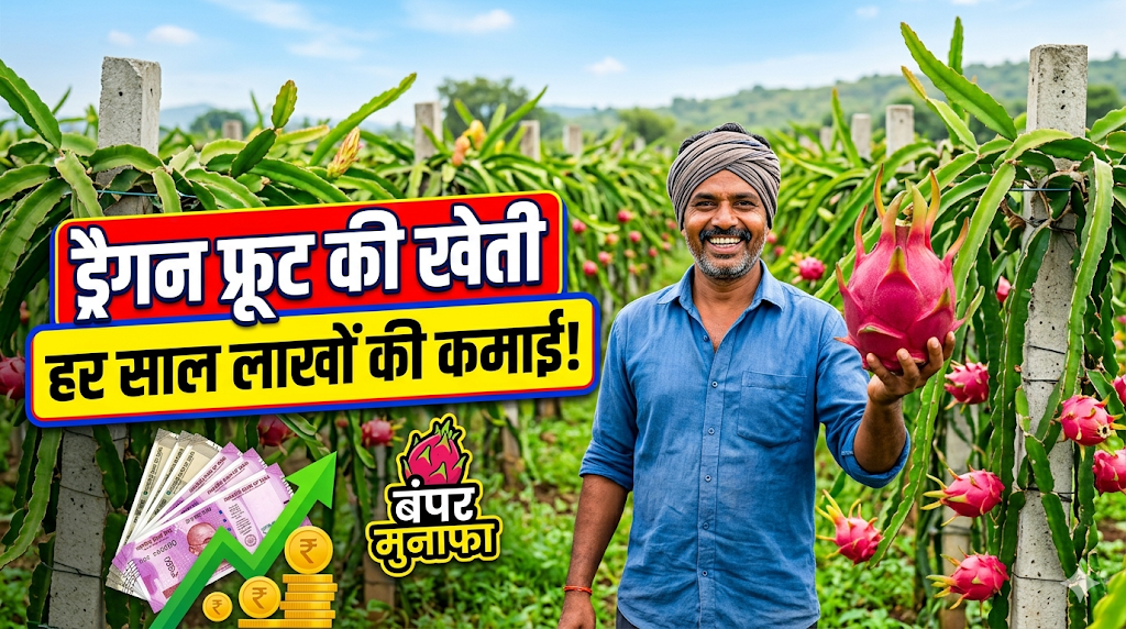 dragon-fruit-farming-guide-hindi