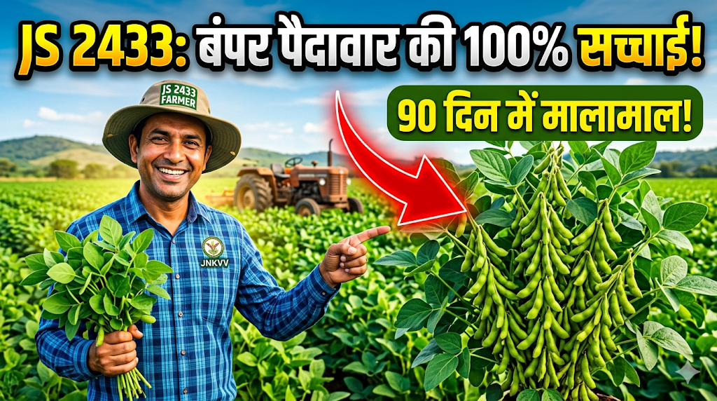 js-2433-soyabean-variety-features-yield-hindi