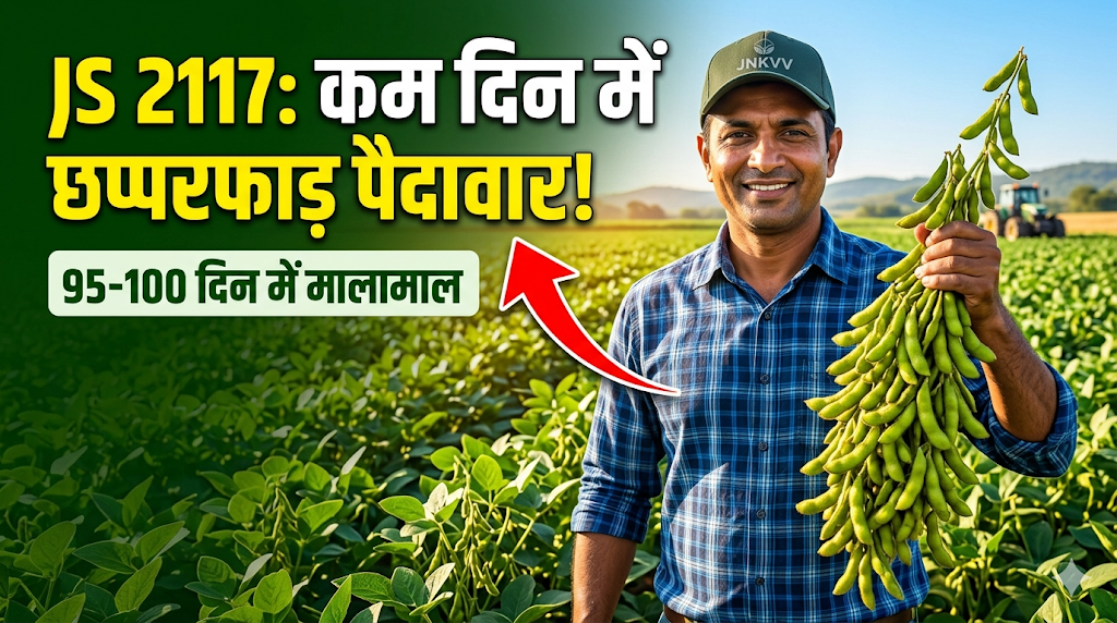 js-2117-soybean-variety-features-yield-hindi