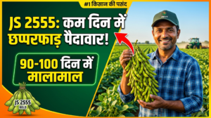 js-2555-soybean-variety-features-yield-hindi
