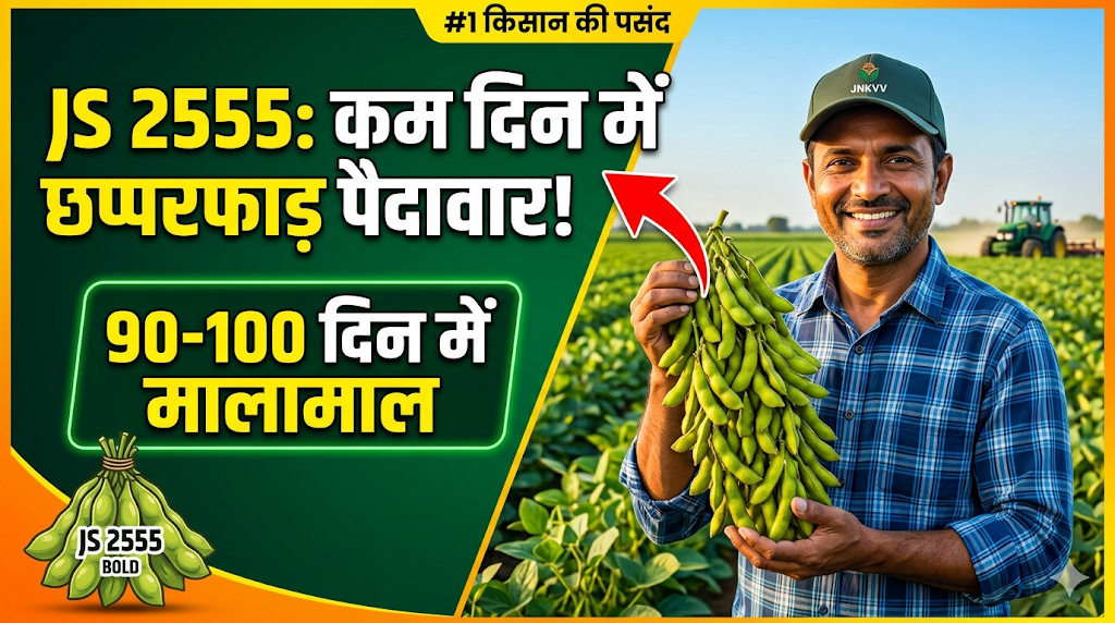 js-2555-soybean-variety-features-yield-hindi