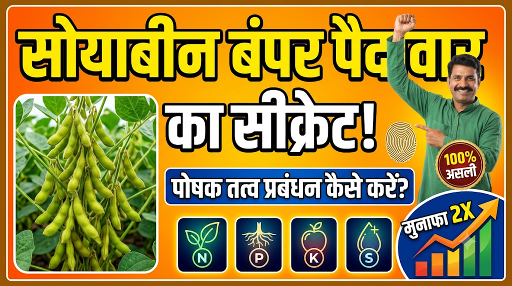 soyabean-me-poshak-tatva-prabandhan-kaise-kare-complete-guide