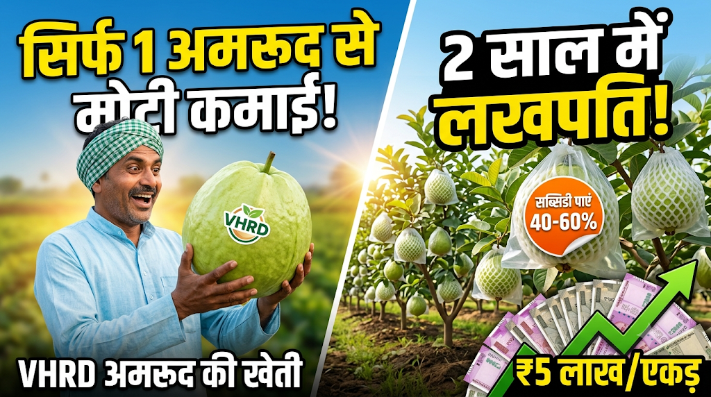 vhrd-guava-farming-profit-guide-hindi