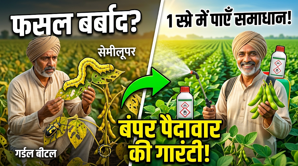 soybean-semilooper-girdle-beetle-control-hindi