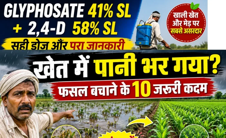 khet-me-pani-bhar-jaye-to-fasal-kaise-bachaye