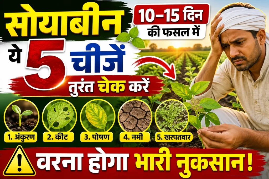 soyabean-10-15-din-ki-fasal-dekhbhal