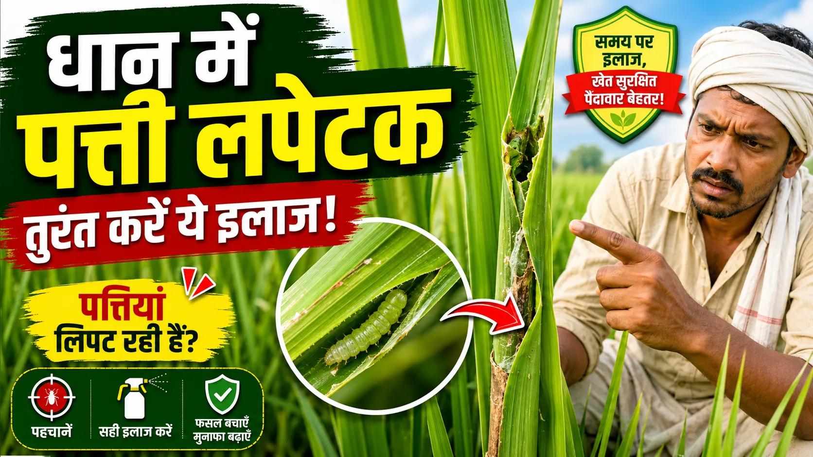 dhan-me-patti-lapetak-ka-ilaj