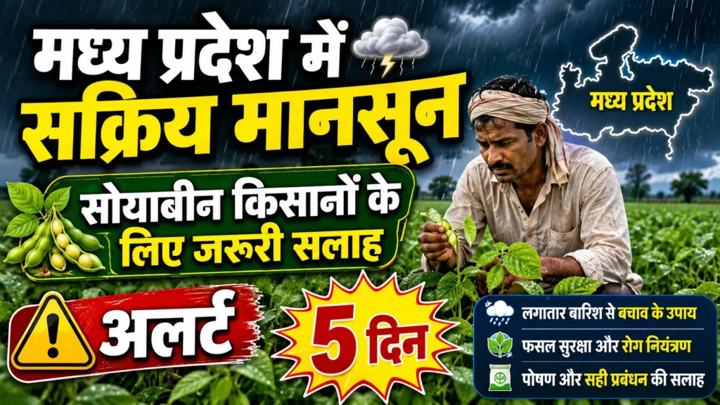 madhya-pradesh-monsoon-soybean-kisan-salah