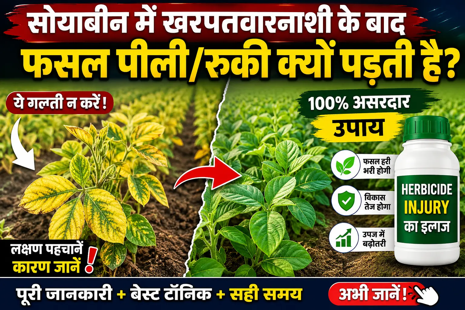 soyabean-me-herbicide-injury-ka-ilaj