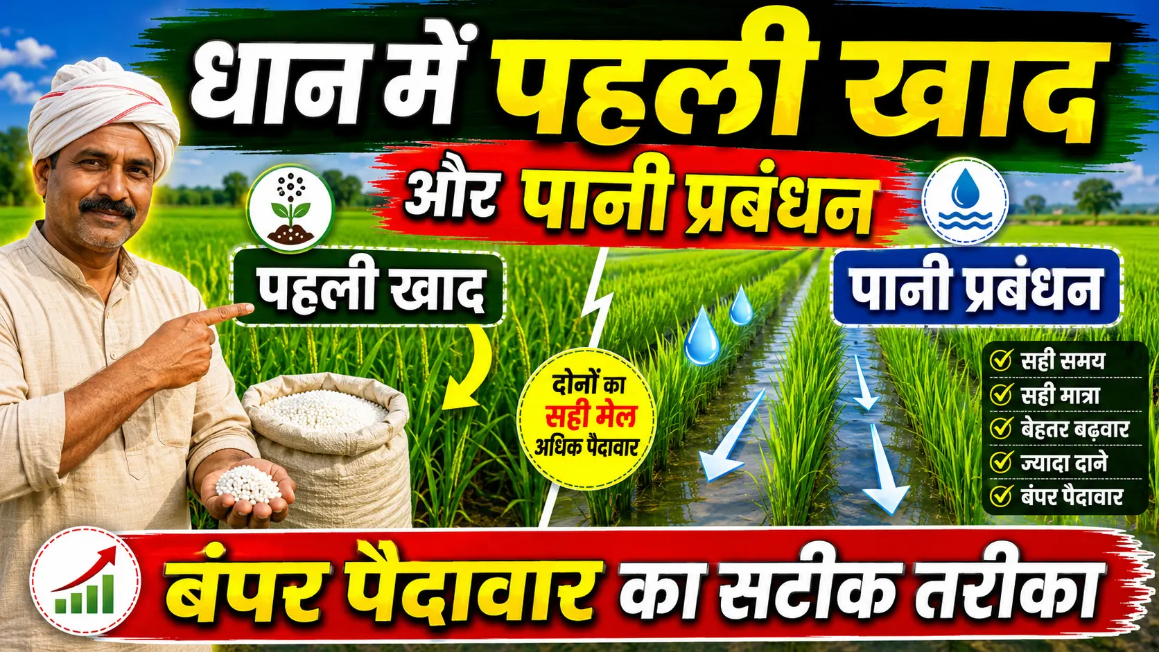 dhan-me-pahli-khad-aur-pani-prabandhan