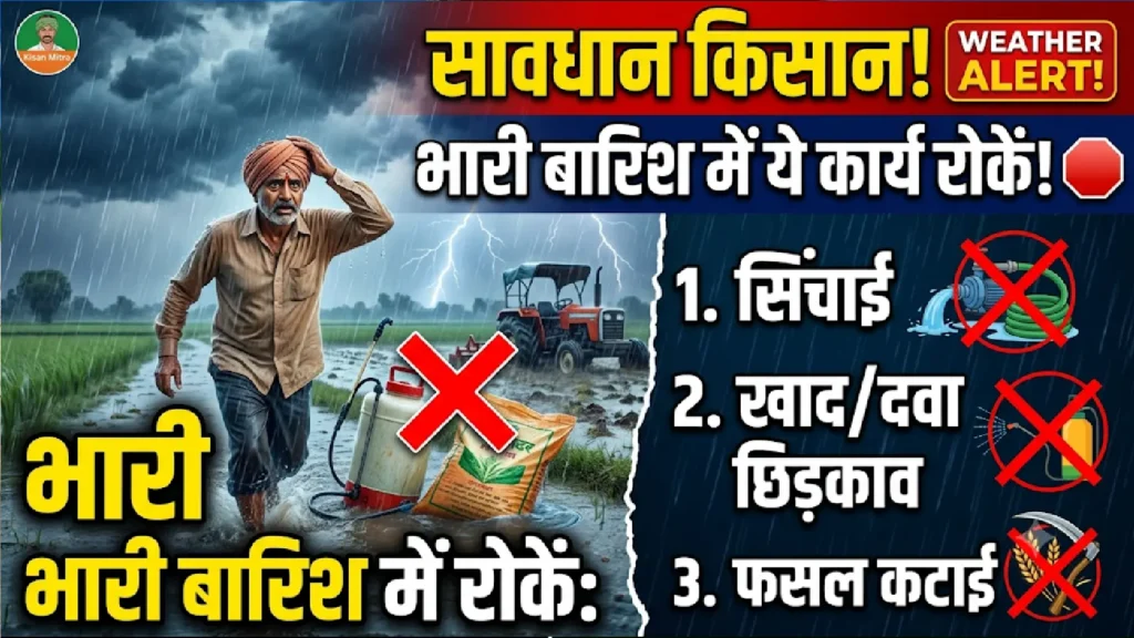 heavy-rain-farming-precautions