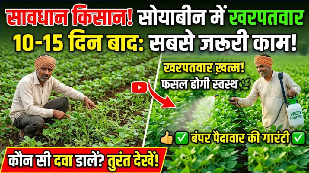 soybean-me-kharpatwar-niyantran-10-15-din