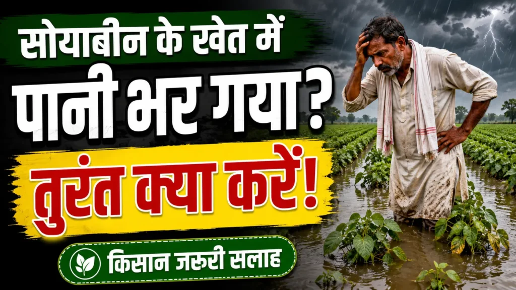 soybean-khet-me-pani-bhar-jaye-to-kya-kare