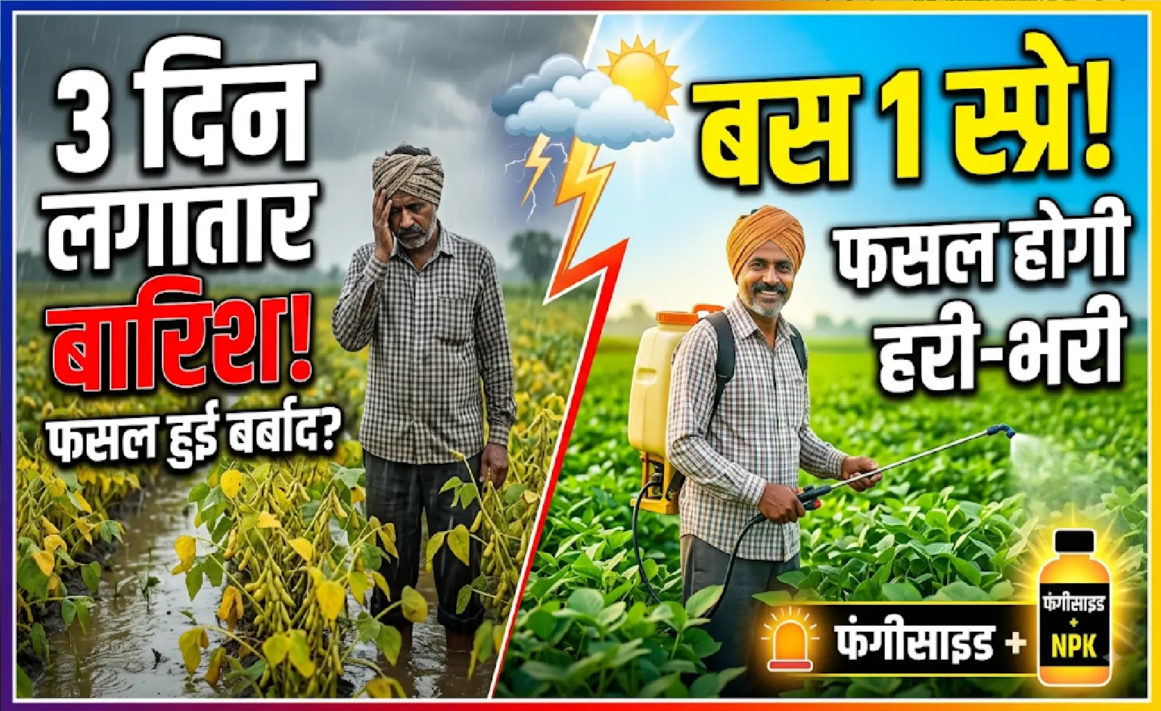 soybean-spray-after-heavy-rain