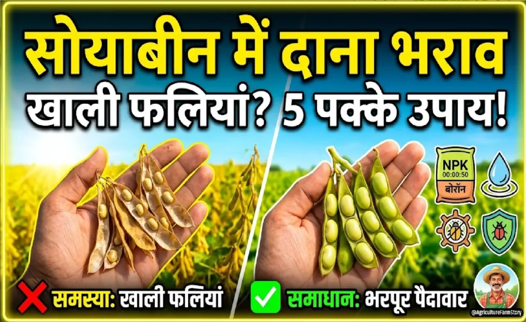 soybean-dana-bharav-upay