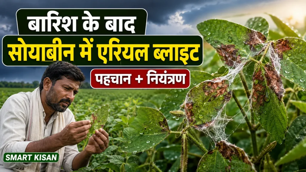 soybean-aerial-blight-pehchan-niyantran