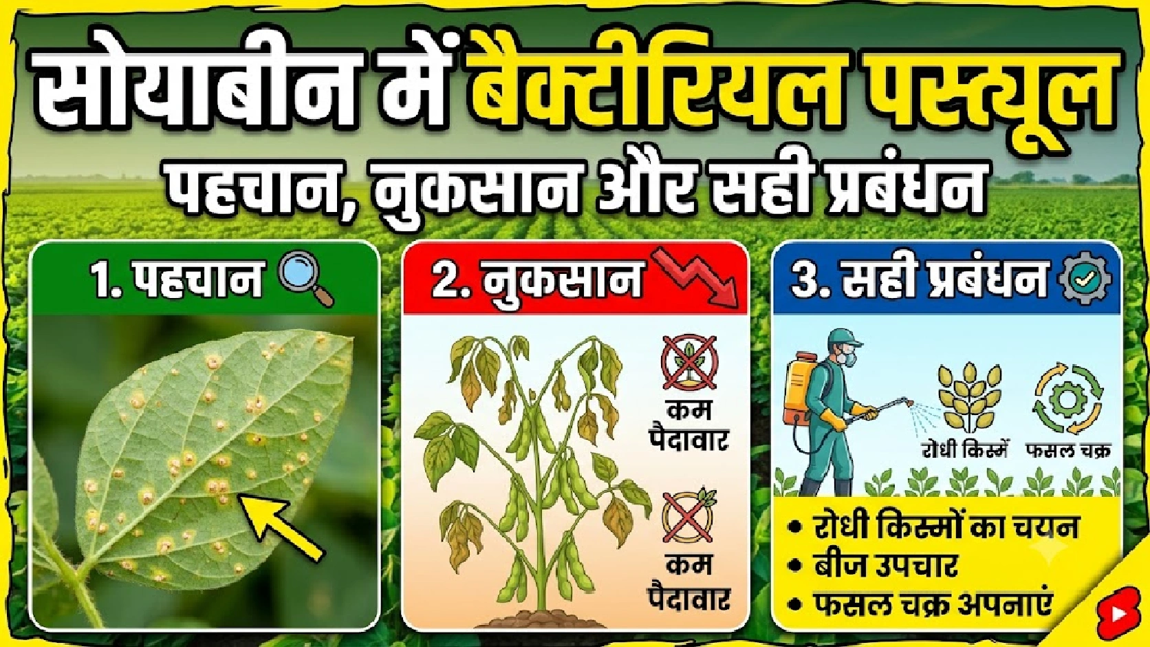 soybean-bacterial-pustule-pehchan-prabandhan